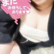 ねね【業界未経験】 🌃𝙶𝚘𝚘𝚍 𝚎𝚟𝚎𝚗𝚒𝚗𝚐🌙☁️ 茨城水戸ちゃんこ