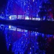 ヒメ日記 2025/12/24 11:48 投稿 ねね【業界未経験】 茨城水戸ちゃんこ