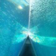 ヒメ日記 2026/01/09 12:55 投稿 ねね【業界未経験】 茨城水戸ちゃんこ