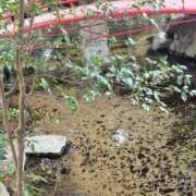 ヒメ日記 2026/03/03 00:19 投稿 ねね【業界未経験】 茨城水戸ちゃんこ