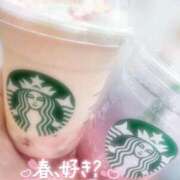 ヒメ日記 2026/03/04 08:25 投稿 ねね【業界未経験】 茨城水戸ちゃんこ