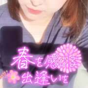 ヒメ日記 2026/03/04 23:11 投稿 ねね【業界未経験】 茨城水戸ちゃんこ