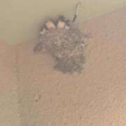 ヒメ日記 2025/07/30 21:24 投稿 しずか 逢って30秒で即尺