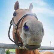 ヒメ日記 2026/01/03 14:48 投稿 ゆり べっぴんコレクション