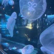 ヒメ日記 2025/05/26 14:26 投稿 あきら 渋谷くいーんず