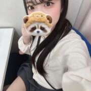 ヒメ日記 2025/05/19 17:41 投稿 りのん ピンクコレクション大阪