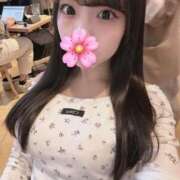 ヒメ日記 2026/04/04 20:24 投稿 りのん ピンクコレクション大阪