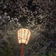 りのん 桜みた？🌸 ピンクコレクション大阪