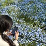ヒメ日記 2025/05/29 01:54 投稿 りのん ピンクコレクション尼崎店