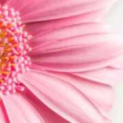 ヒメ日記 2025/05/15 06:16 投稿 小原 れな こあくまな熟女たち三河店（KOAKUMAグループ）