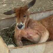 ヒメ日記 2025/06/04 15:54 投稿 ひろ★ Club夢