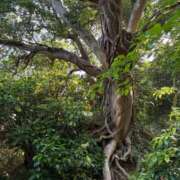 ヒメ日記 2025/06/04 23:16 投稿 ひろ★ Club夢