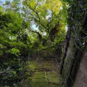 ヒメ日記 2025/06/08 12:15 投稿 ひろ★ Club夢