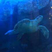 ヒメ日記 2025/06/27 23:45 投稿 ひろ★ Club夢