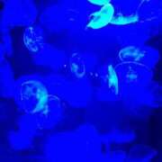 ヒメ日記 2025/06/28 16:59 投稿 ひろ★ Club夢