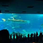 ヒメ日記 2025/07/09 23:07 投稿 ひろ★ Club夢