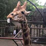 ヒメ日記 2025/07/24 01:21 投稿 ひろ★ Club夢