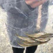 ヒメ日記 2025/07/29 03:48 投稿 ひろ★ Club夢