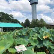 ヒメ日記 2025/08/01 22:08 投稿 ひろ★ Club夢