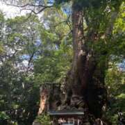 ヒメ日記 2025/08/20 00:30 投稿 ひろ★ Club夢