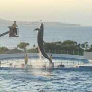 ヒメ日記 2025/08/23 00:45 投稿 ひろ★ Club夢