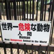 ヒメ日記 2025/10/20 23:30 投稿 ひろ★ Club夢