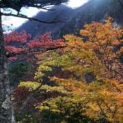 ヒメ日記 2025/10/31 19:01 投稿 ひろ★ Club夢