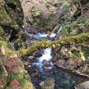 ヒメ日記 2025/11/03 23:45 投稿 ひろ★ Club夢