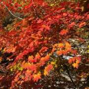 ヒメ日記 2025/11/06 23:36 投稿 ひろ★ Club夢