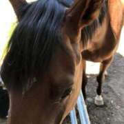 ヒメ日記 2025/12/31 22:05 投稿 ひろ★ Club夢