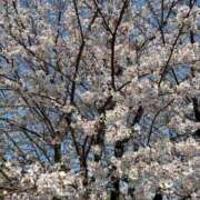 ヒメ日記 2026/03/31 10:46 投稿 ひろ★ Club夢