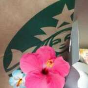 ヒメ日記 2025/06/03 17:53 投稿 せいら 三重松阪ちゃんこ