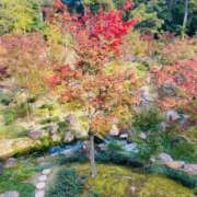 ヒメ日記 2025/12/06 20:06 投稿 みこと 川崎・東横人妻城