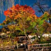 ヒメ日記 2025/12/10 10:06 投稿 みこと 川崎・東横人妻城