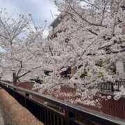 ヒメ日記 2026/03/01 14:13 投稿 みこと 川崎・東横人妻城