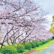 ヒメ日記 2026/03/29 12:12 投稿 みこと 川崎・東横人妻城