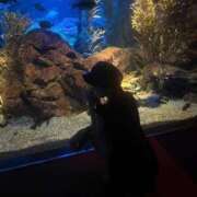 ヒメ日記 2025/08/21 14:51 投稿 愛菜【アイナ】 Evolution1st キタ兎我野店