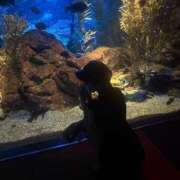 ヒメ日記 2025/07/08 16:21 投稿 愛菜【アイナ】 Evolution1st ミナミ谷九店