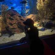 ヒメ日記 2025/08/16 13:21 投稿 愛菜【アイナ】 Evolution1st ミナミ谷九店