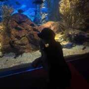 ヒメ日記 2025/08/21 14:51 投稿 愛菜【アイナ】 Evolution1st ミナミ谷九店