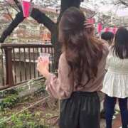 ヒメ日記 2025/05/15 22:17 投稿 杏 / あん 贅沢なひと時