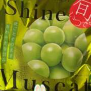 ヒメ日記 2025/08/29 12:38 投稿 杏 / あん 贅沢なひと時