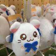 杏 / あん だ〜いすきなのは？🌻 贅沢なひと時