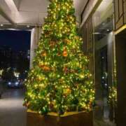 ヒメ日記 2025/12/26 17:53 投稿 杏 / あん 贅沢なひと時