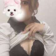 ヒメ日記 2025/06/03 19:01 投稿 なつ 横浜シンデレラ（シンデレラグループ）