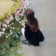 なつ お久しぶりです? 横浜シンデレラ（シンデレラグループ）