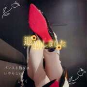 ヒメ日記 2025/05/15 18:45 投稿 しずく パンスト熟女はいやらしい