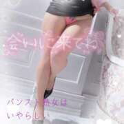 ヒメ日記 2025/06/09 23:13 投稿 しずく パンスト熟女はいやらしい