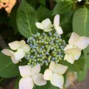 ヒメ日記 2025/06/12 23:02 投稿 しずく パンスト熟女はいやらしい