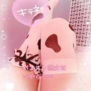 ヒメ日記 2025/06/14 21:49 投稿 しずく パンスト熟女はいやらしい